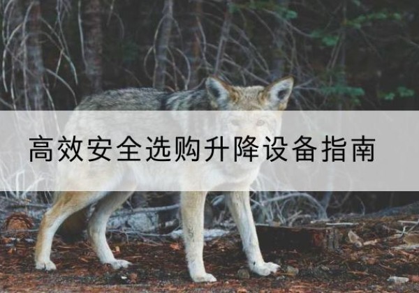 平安升降货梯厂家推荐-*安全选购升降设备指南