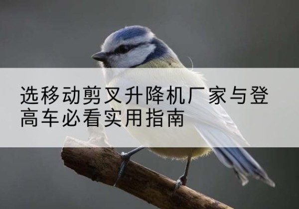 平安电动升降机厂家-选移动剪叉升降机厂家与登高车必看实用指南