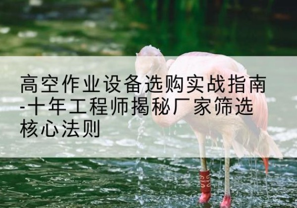 平安剪叉式升降机厂家-高空作业设备选购实战指南-十年工程师揭秘厂家筛选核心法则